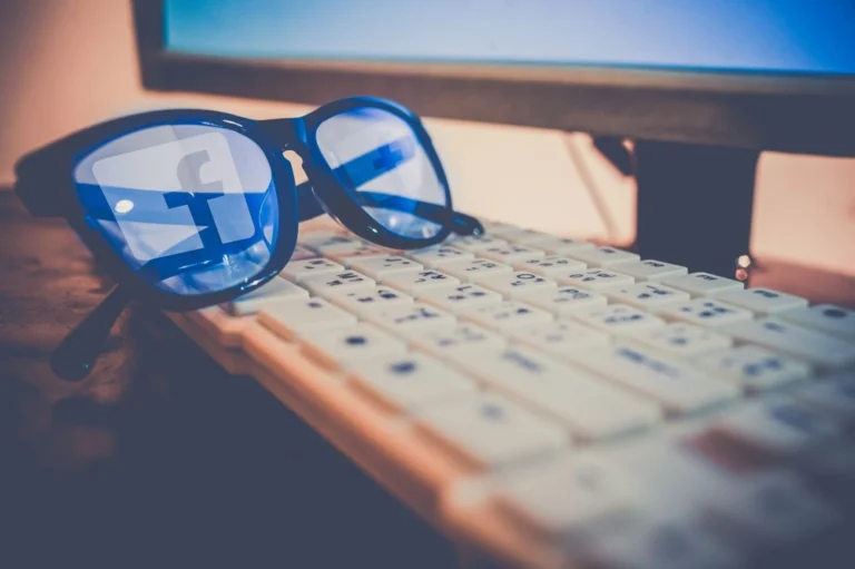 Youlead Facebook Le Roi Des Reseaux Sociaux