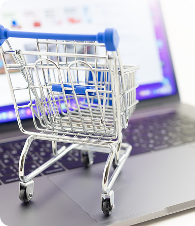 Youlead Site E Commerce