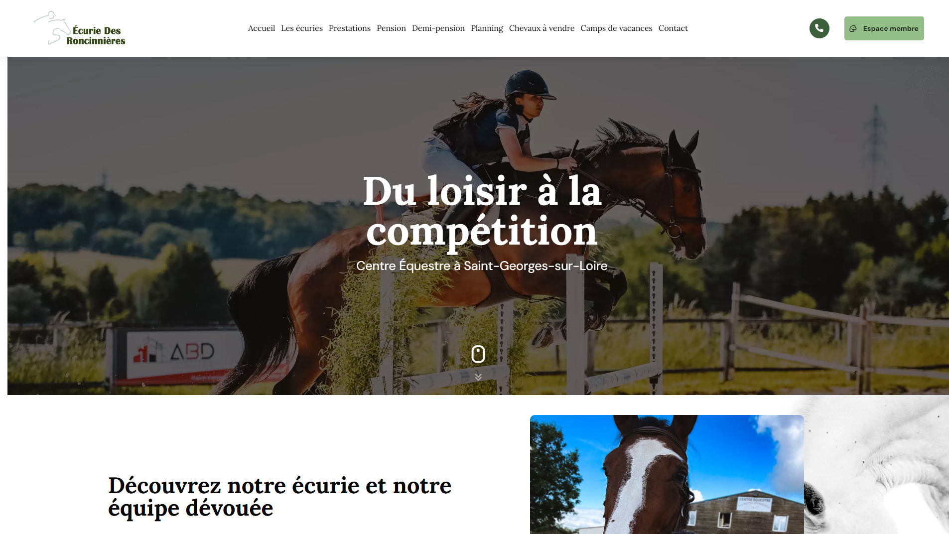 Youlead Ecurie Des Roncinnieres