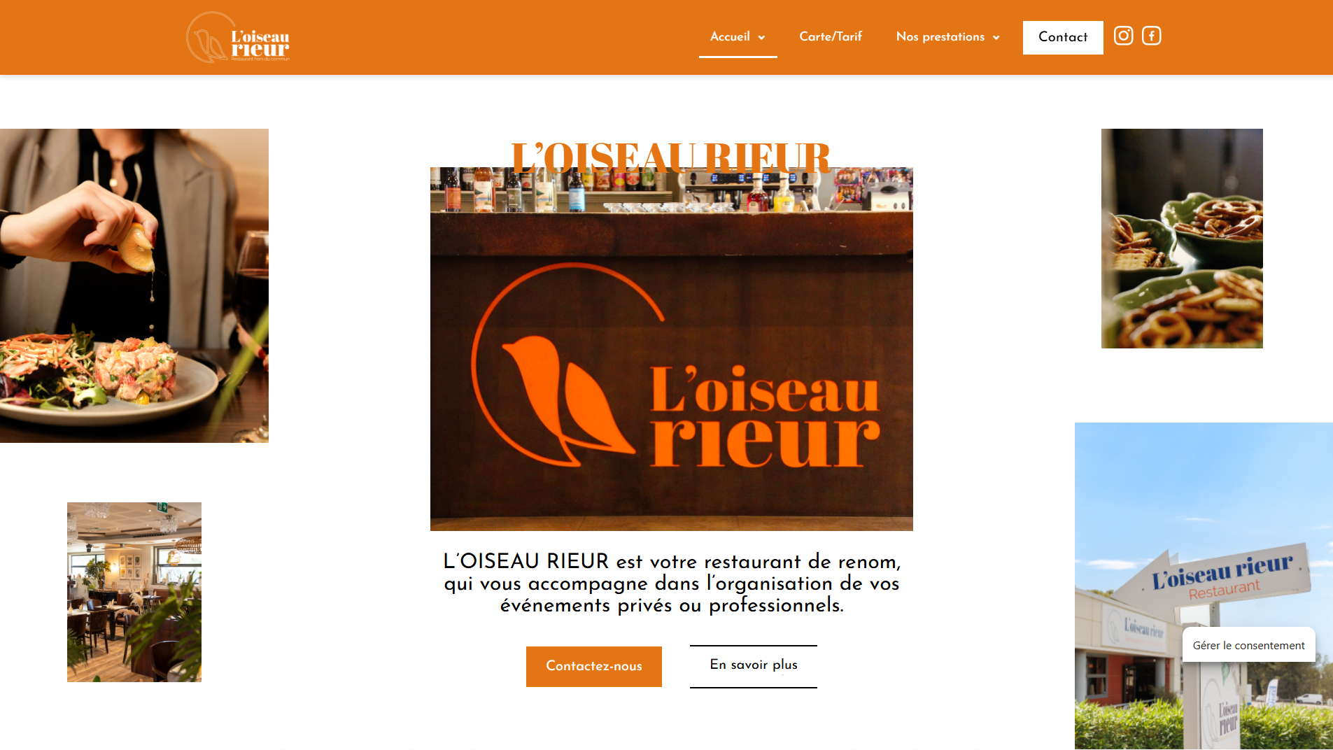 Youlead L Oiseau Rieur